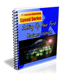 Setting up Your First Business Website